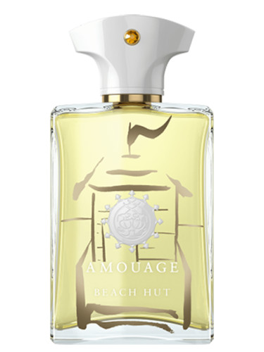 عطر ادکلن آمواج - آمواژ بیچ هات مردانه | Amouage Beach Hut Man