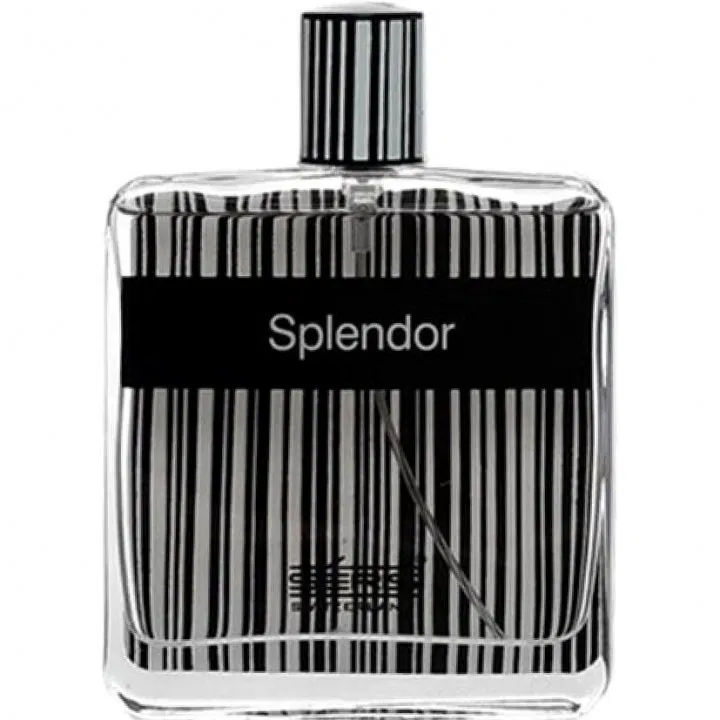 عطر ادکلن اسپلندور بلک مشکی | Splendor Black