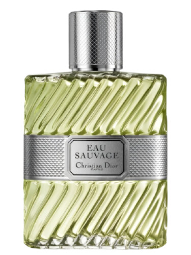 عطر ادکلن دیور او ساواج پرفیوم | Dior Eau Sauvage Parfum