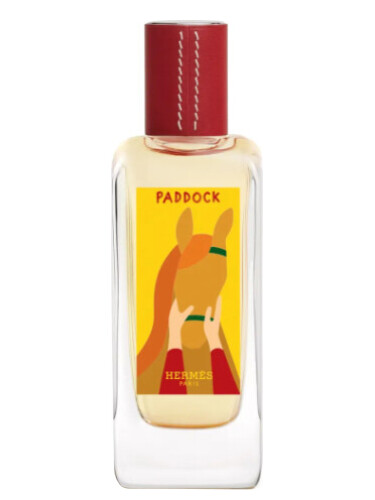 عطر ادکلن هرمس پادوک ادیشن سوت هرمس | Hermes Paddock Edition Saut Hermes