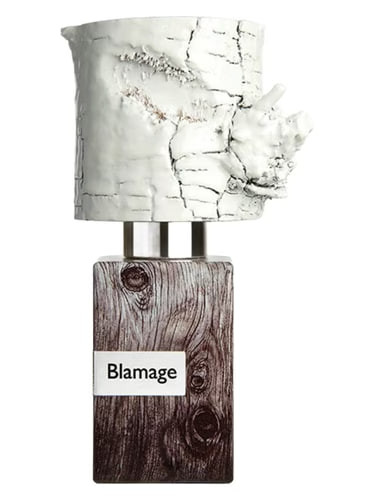 عطر ادکلن ناسوماتو بلاماج | Nasomatto Blamage