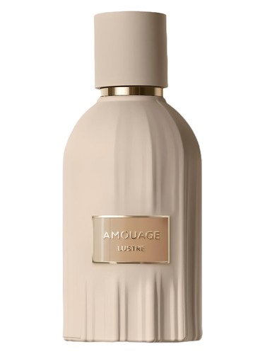عطر ادکلن آمواج لاستر | Amouage Lustre