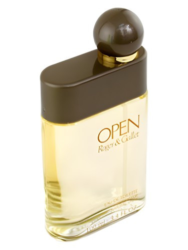 عطر ادکلن راجر اند گالت اوپن اپن مردانه | Roger & Gallet Open For Men