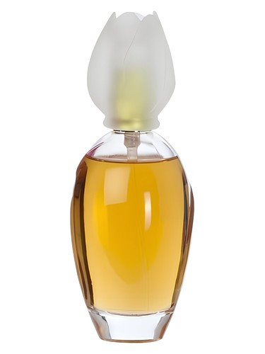 عطر ادکلن کلوهه نارسیس | Chloe Narcisse