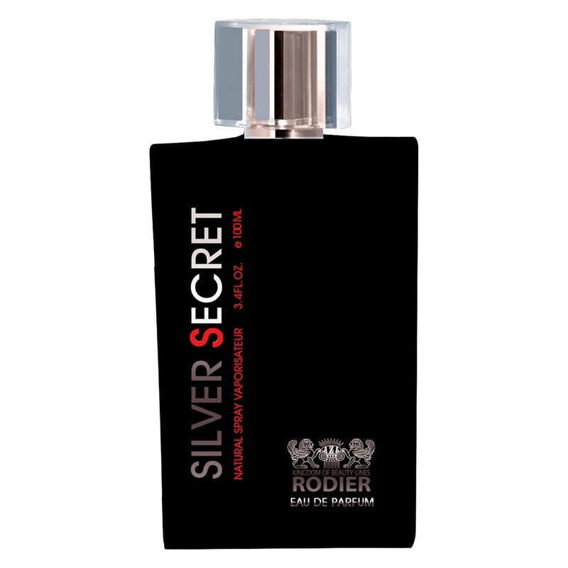 ادو پرفیوم مردانه رودیر مدل Silver Secret حجم 100 میلی لیتر
