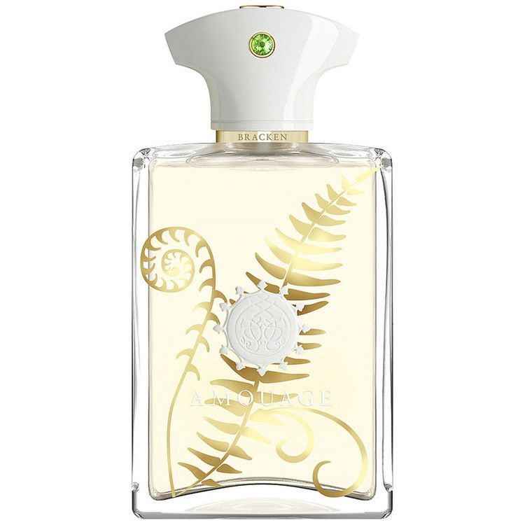 ادوپرفیوم مردانه آمواژ مدل Bracken Man حجم 100 میلیلیتر